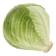 Cabbage