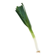 Leek