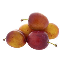 Plum