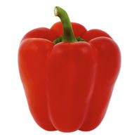 Red Bell Pepper