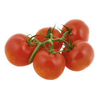 Vine Tomato